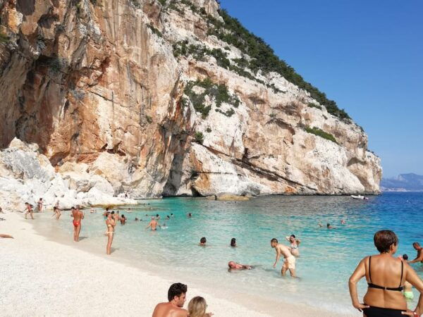From Arbatax: Full-Day Guided Boat Tour of the Baunei Coast - Customer Feedback