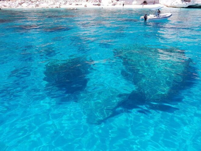 From Arbatax: Full Day Sailing Tour in the Gulf of Orosei - Important Information