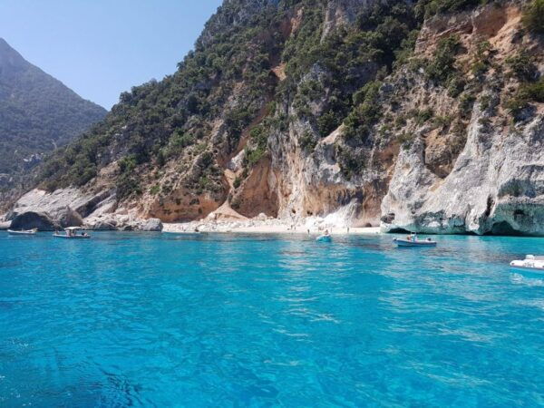 From Arbatax: Full Day Sailing Tour in the Gulf of Orosei - Frequently Asked Questions