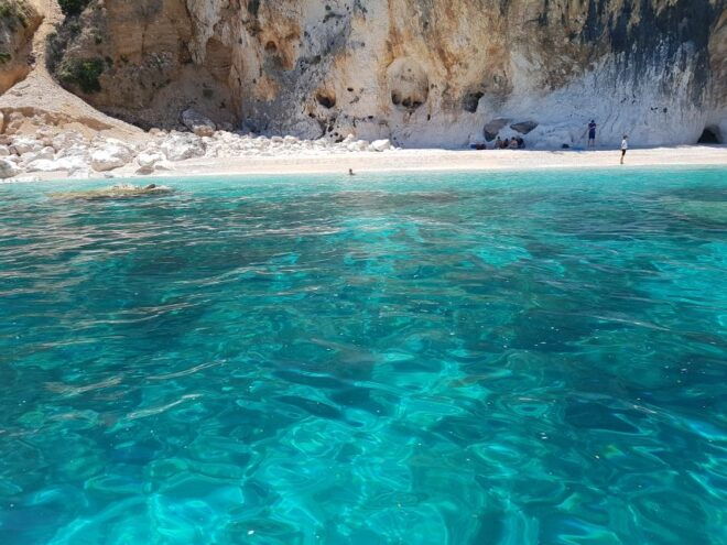From Arbatax: Gulf of Orosei Sail Boat Trip With Lunch - Inclusions