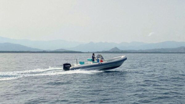 From Arbatax: Rubber Dinghy Trip in the Gulf of Orosei - Frequently Asked Questions