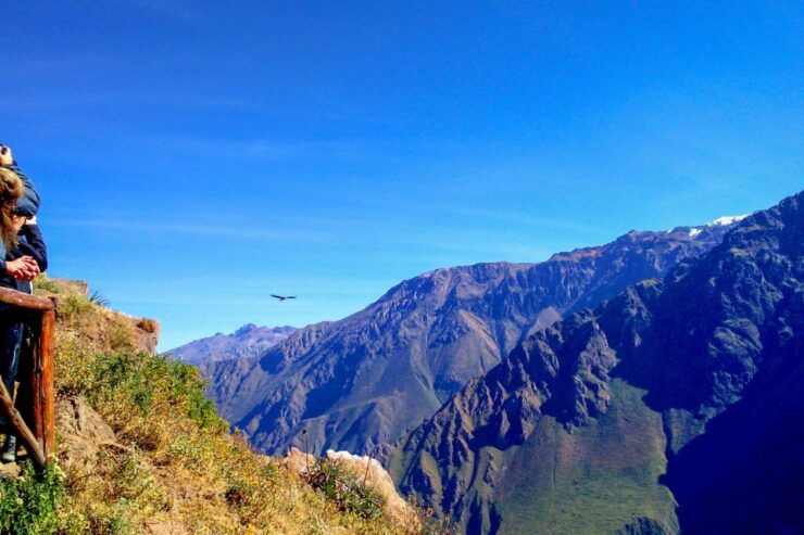 From Arequipa: 2-Day Colca Canyon Tour With Transfer to Puno - Tour Duration and Languages