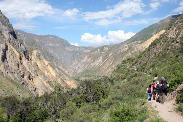 From Arequipa: 2-Day Colca Canyon Tour With Transfer to Puno - Cancellation Policy and Booking Flexibility