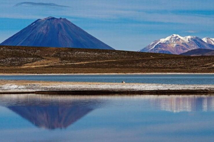 From Arequipa: Excursion to the Salinas Lagoon Full Day - Highlights of the Experience