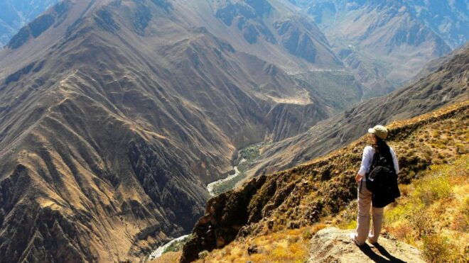 From Arequipa: Full Day Colca Canyon Tour - Highlights