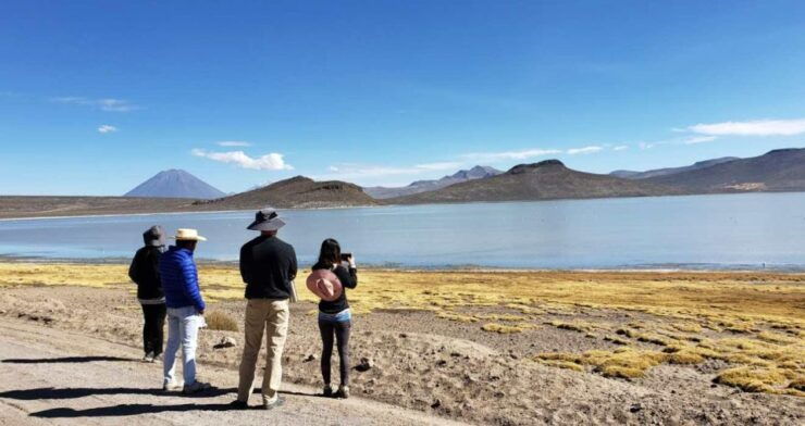 From Arequipa Full Day Salinas Lagoon Excursion - Activity Information