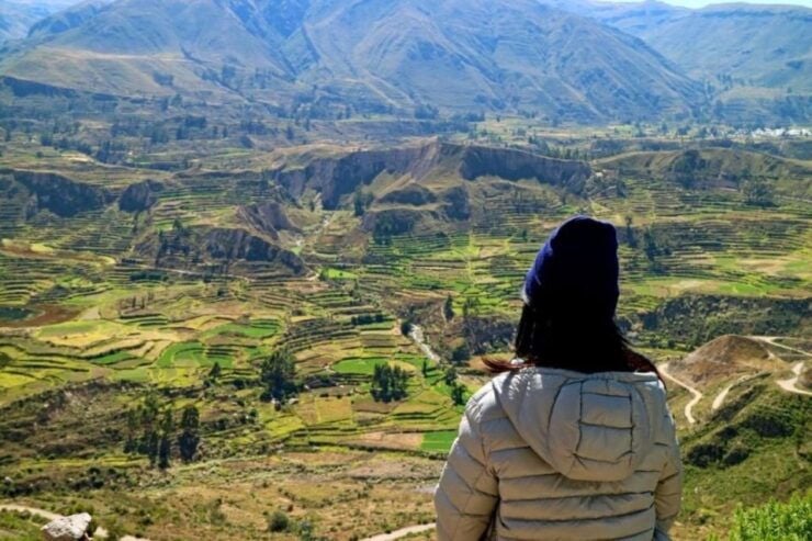 From Arequipa: Full-Day to Colca Canyon - Activity Highlights