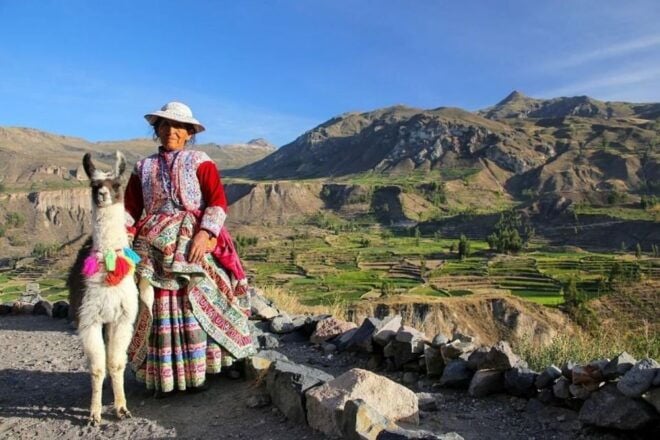 From Arequipa: Full-Day to Colca Canyon - Itinerary Overview
