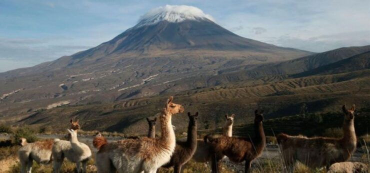 From Arequipa: Misti Volcano Trekking - 2 Days - Trekking Duration and Languages