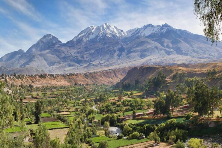 From Arequipa Pichu Pichu Bike Tour Half Day - Tour Booking Details