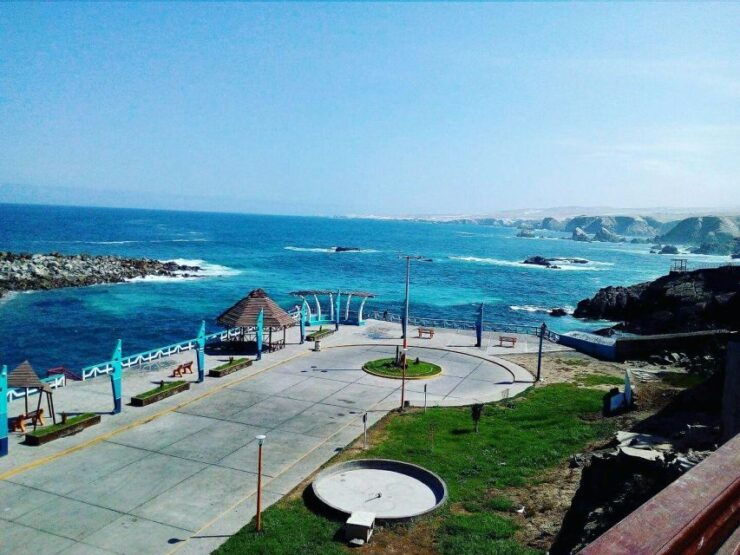 From Arequipa: Tacna South Pacific Guided Tour With Meals - Experience Highlights