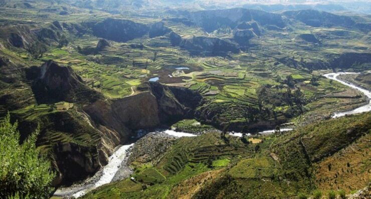 From Arequipa: Tour to Chivay & Colca Canyon - Good To Know