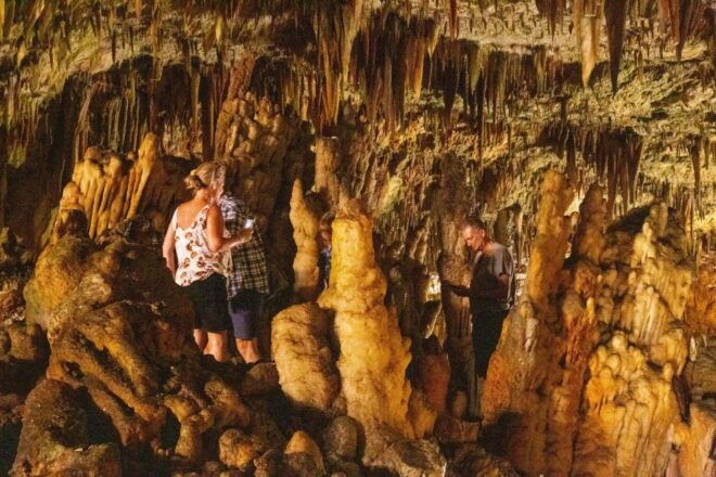From Argostoli: Half-day Private Custom-made Tour - Booking and Directions