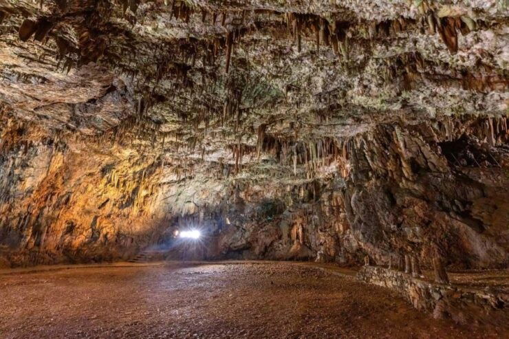 From Argostoli: Melissani & Drogarati Cave Shore Excursion - Experience Highlights