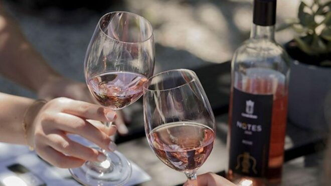 From Argostoli: Private Wine Tasting & Vineyard Tour - Experience