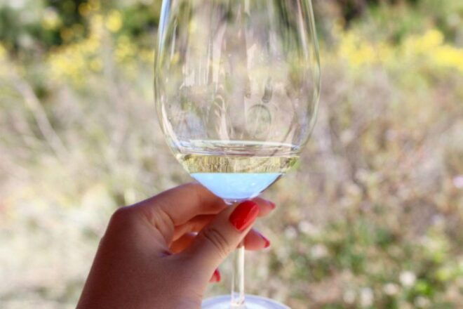 From Argostoli: Private Wine Tasting & Vineyard Tour - Highlights