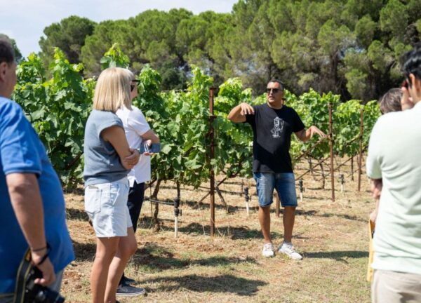 From Argostoli: Private Wine Tasting & Vineyard Tour - Directions
