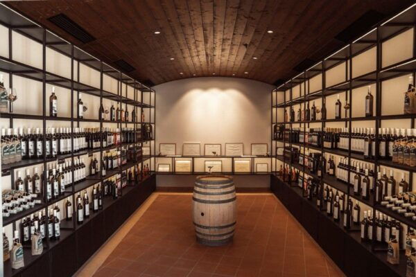 From Argostoli: Private Wine Tasting & Vineyard Tour - Itinerary