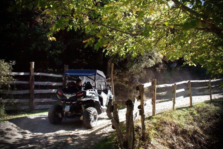 From Aritzo: buggy tour on Gennargentu - Practical Tips for Your Booking