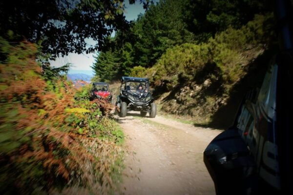 From Aritzo: Gennargentu Mountains Buggy Tour With Trek - Frequently Asked Questions