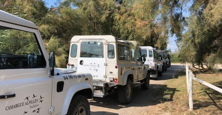From Arles: Half-Day 4x4 Camargue Safari - Activity Details