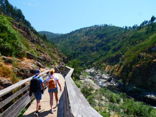 From Arouca: 516 Arouca Bridge & Paiva Walkway Tour - The Sum Up