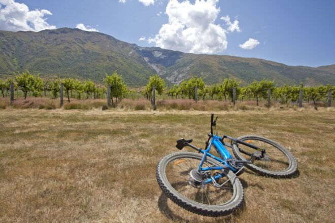 From Arrowtown: Scenic Valley of the Vines Bike & Wine Tour - Common Questions