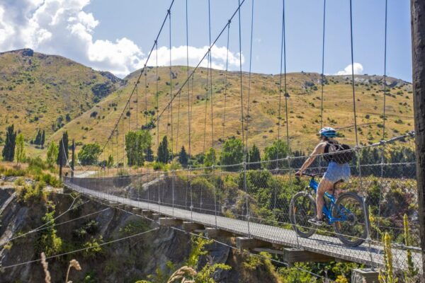 From Arrowtown: Scenic Valley of the Vines Bike & Wine Tour - The Sum Up