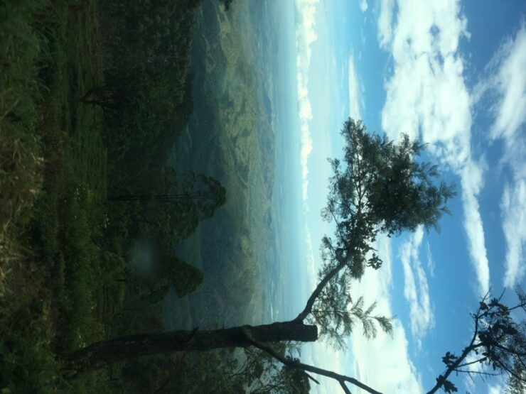 From Arugambay: Day Trip to Ella - Activity Details