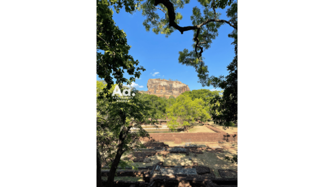 From Arugambay: Day-Trip to Sigiriya, The Lion Rock - Important Information