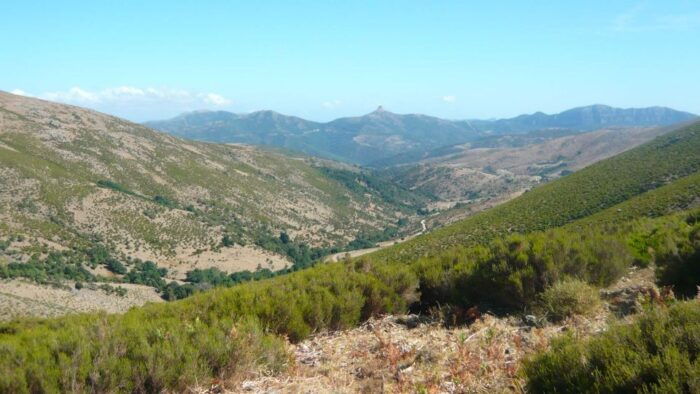 From Arzana: Trekking to Punta La Marmora With Aperitif - Getting to the Trailhead