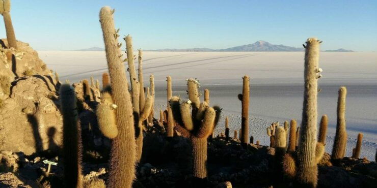 From Atacama Private Service - Uyuni Salt Flat - 3 Days - Booking Information and Flexibility
