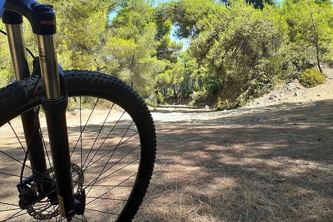 From Athens: Aegina Island E-Bike & Walking Day Tour - Meeting Point