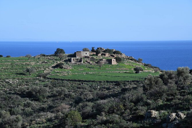From Athens: Aegina Island E-Bike & Walking Day Tour - Tour Details
