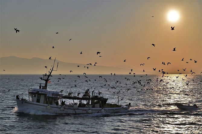 From Athens: Aegina Island E-Bike & Walking Day Tour - Directions