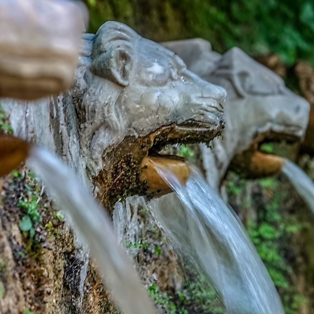 From Athens: Day Trip to Andros Island - Experience