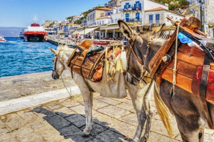 From Athens: Hydra, Poros, and Aegina Day Cruise With Lunch - Explore Poros Island