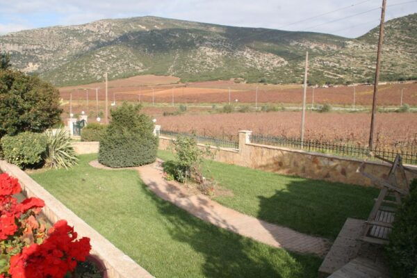 From Athens: Nemea & Nafplio Private Wine and History Tour - Insights Into Wine Production Philosophy