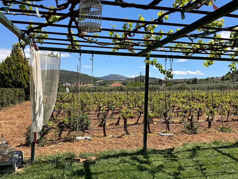 From Athens: Nemea Wine Tour with Corinth Canal Stop - From Athens: Nemea Wine Tour with Corinth Canal Stop