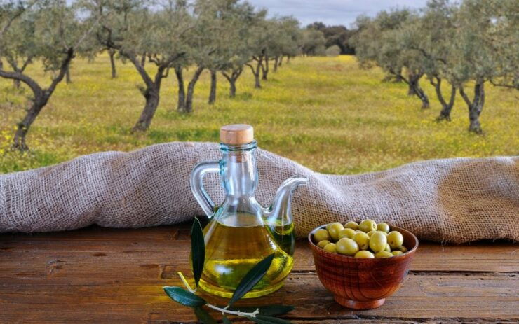 From Athens: Olive Oil Production & Wine Private Day Trip - Activity Details