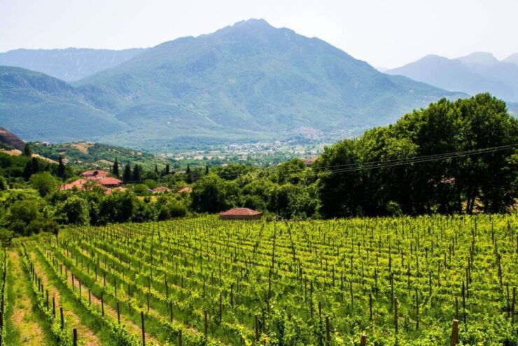 From Athens: Private Corinth and Nemea Wine Tasting Day Tour - Activity Details