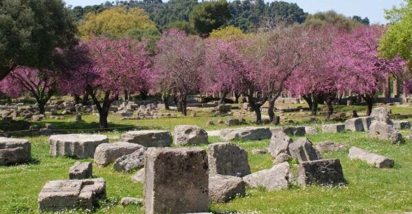 From Athens: Private Day Trip to Ancient Olympia - Common Questions