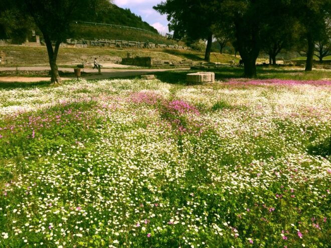 From Athens: Private Full-Day Tour of Ancient Olympia - Pickup and Accessibility