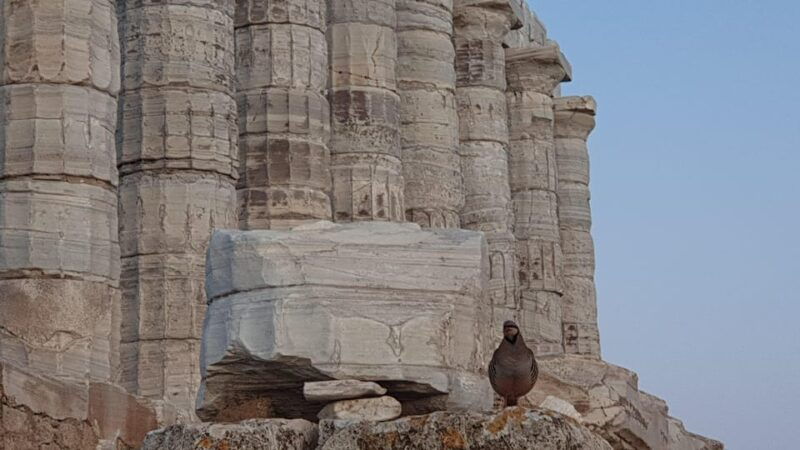 From Athens: Temple of Poseidon Private Couples Trip - An In-Depth Look at the Experience