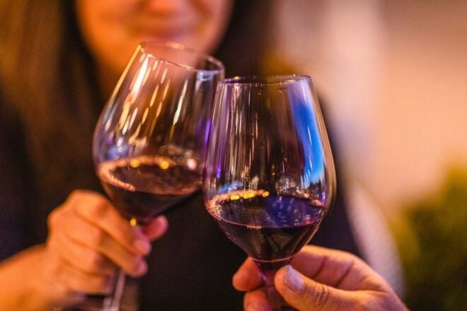 From Atlanta: Half-Day or Full-Day Wine Country Tasting Trip - Exploring Chateau Meichtry and Ott Farms and Vineyards
