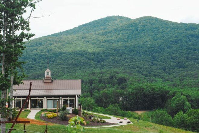 From Atlanta: North Georgia Wine Country Tour - The Sum Up