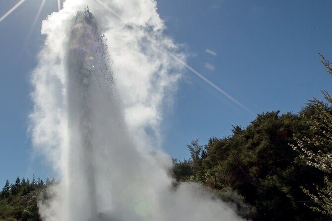 From Auckand: Waiotapu and Polynesian Spa Rotorua Day Tour - Who Is This Tour Perfect For?