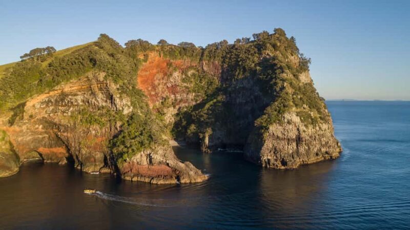 From Auckland: ALDERMAN ISLANDS (Ruamaahu) Day Trip - Final thoughts