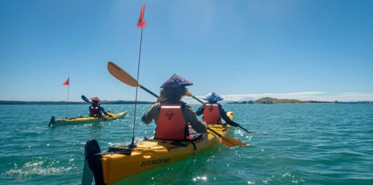 From Auckland: Browns Island Motukorea Sea Kayak Tour - Experience
