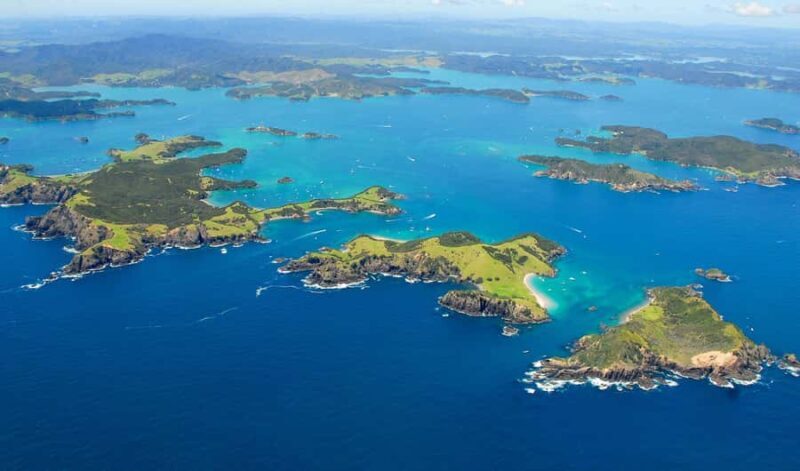 From Auckland: Full Day Private Tour to the Bay of Islands - Good To Know